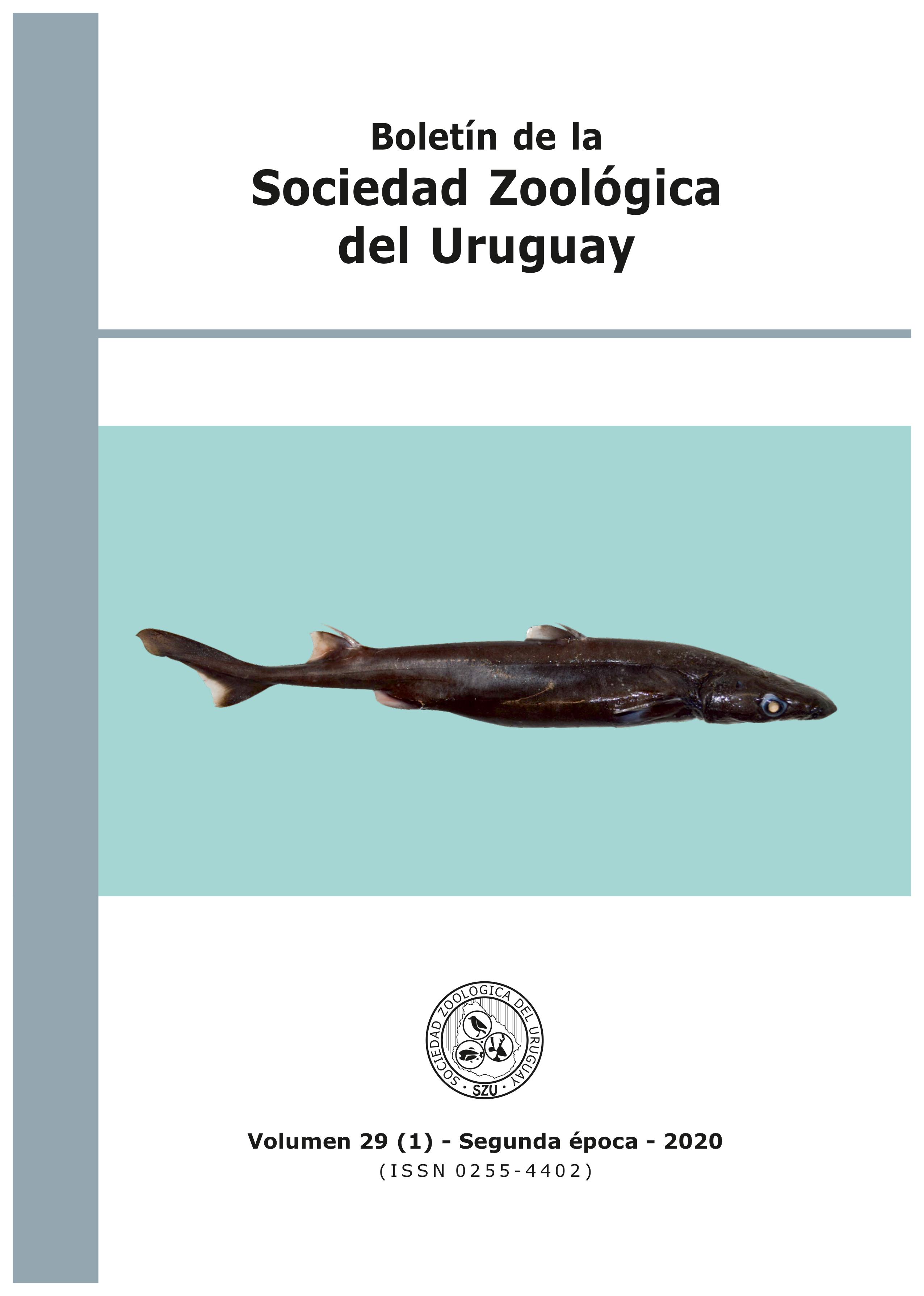					Ver Vol. 29 Núm. 1 (2020): Boletín de la Sociedad Zoológica del Uruguay
				
